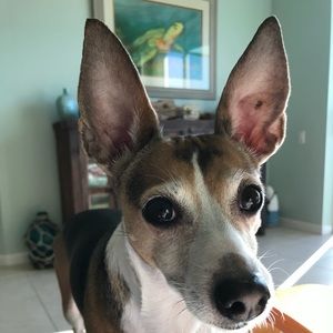 Meet your Posher, Lydia